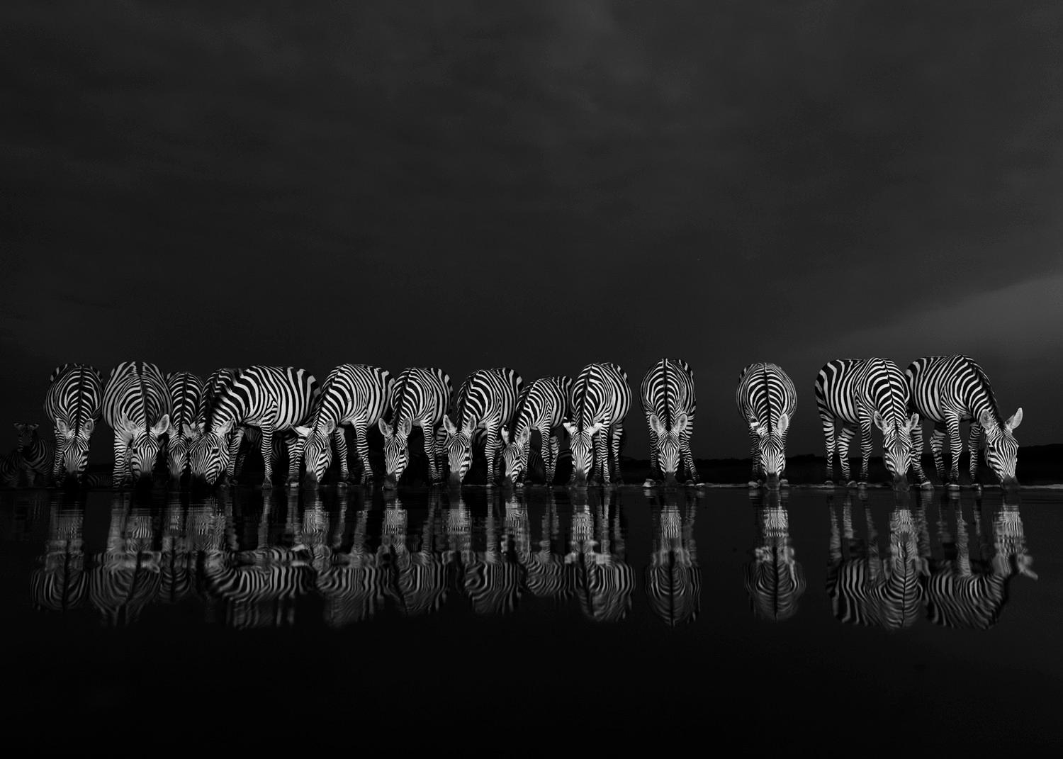 Nature Photography Contest Featured Image
