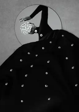 Xidong Luo entry image