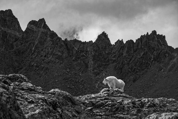 Liam Doran Reeds Rains Exposure One Awards | Liam Doran | Nominees (Wildlife)